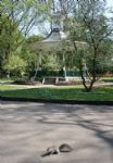 The Sun Shines on Swindon Town Gardens